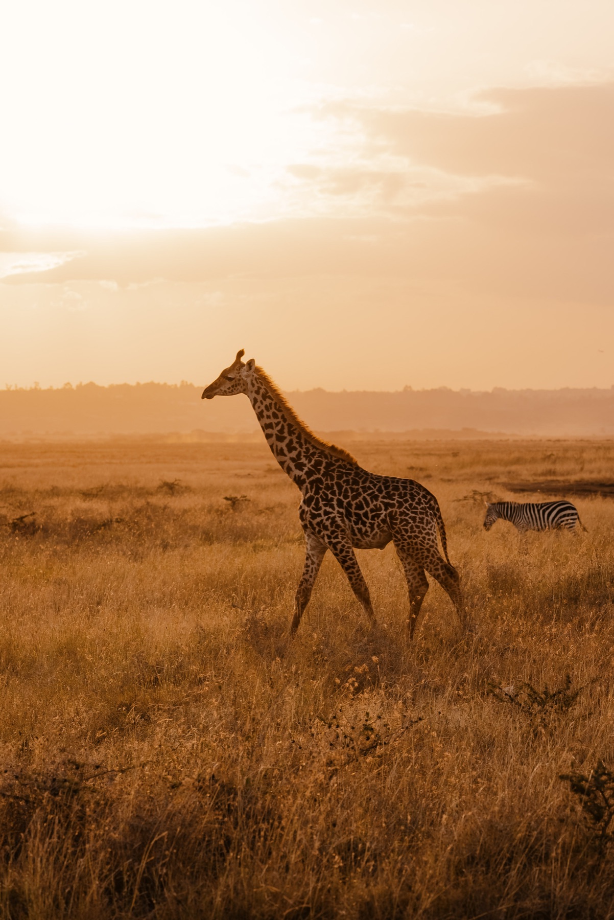 Arusha Coffee Lodge