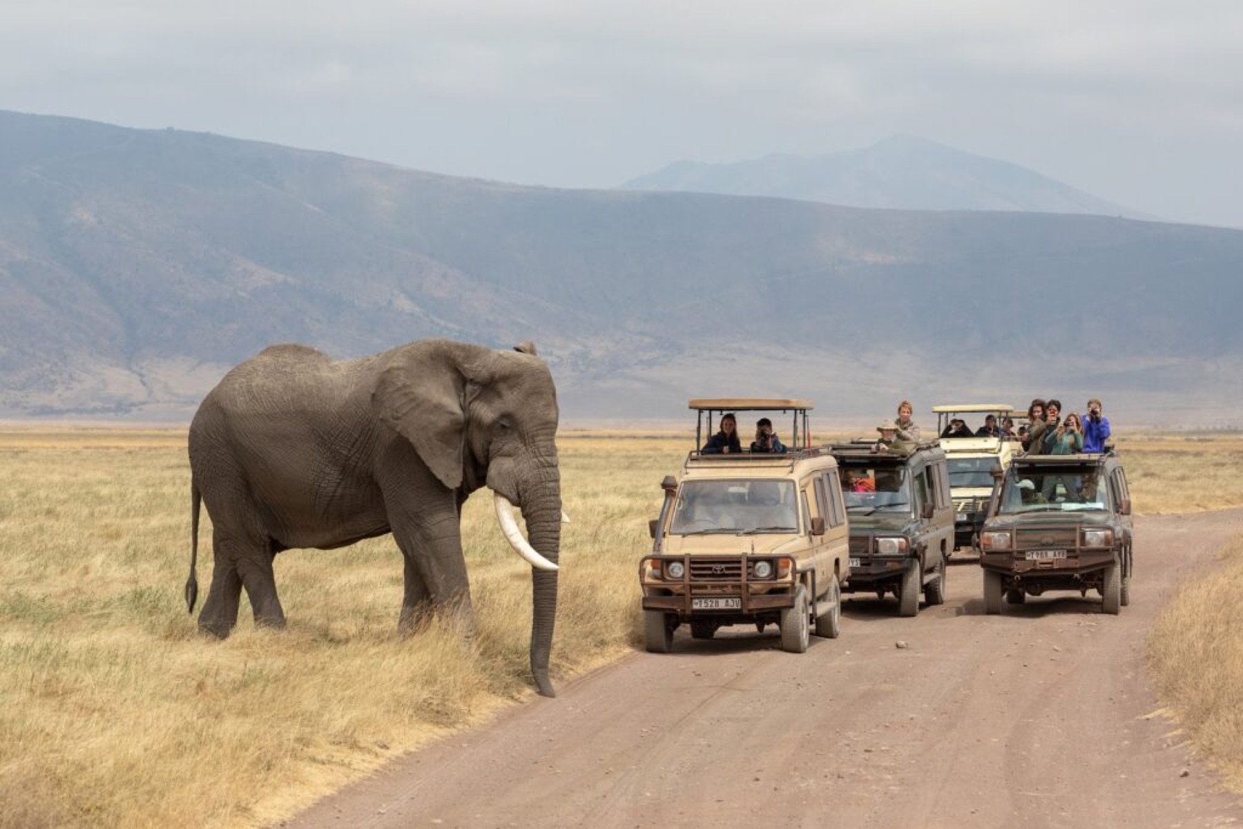 Ngorongoro Crater