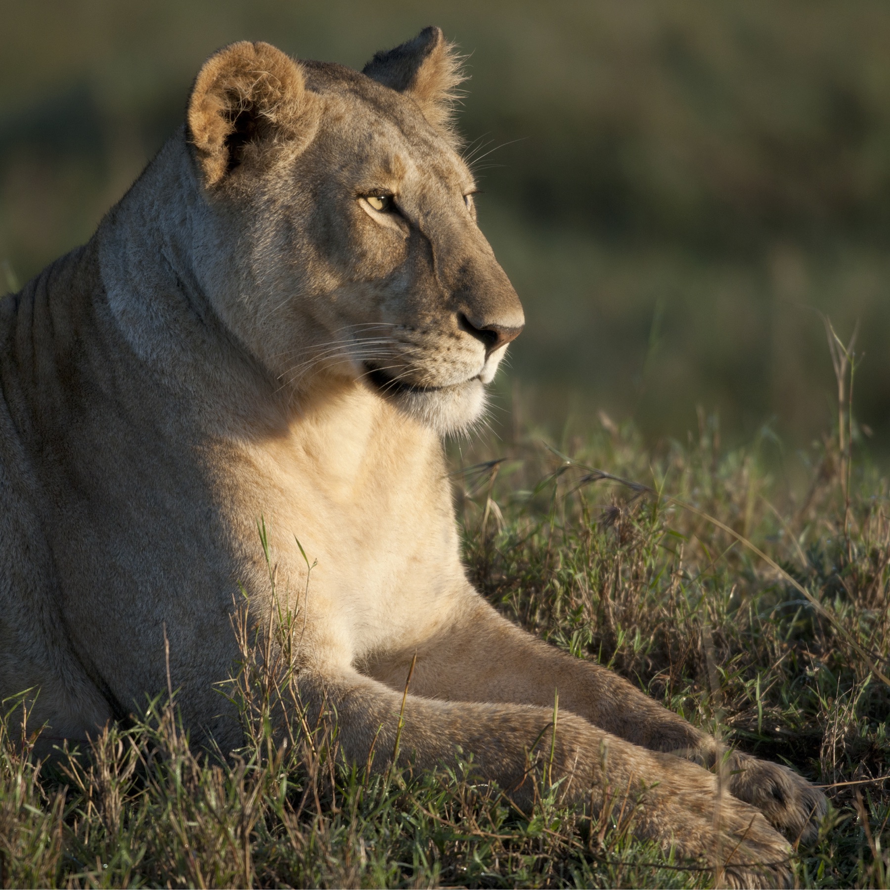Serengeti National Park