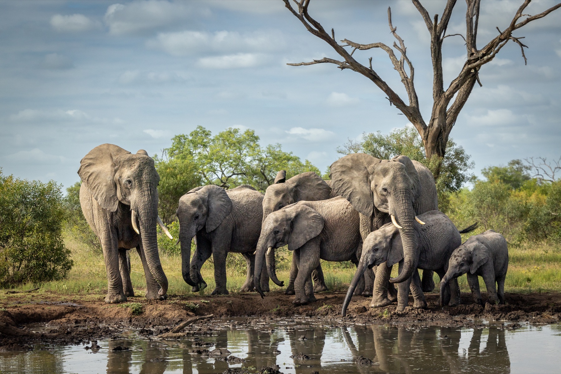 Tarangire National Park