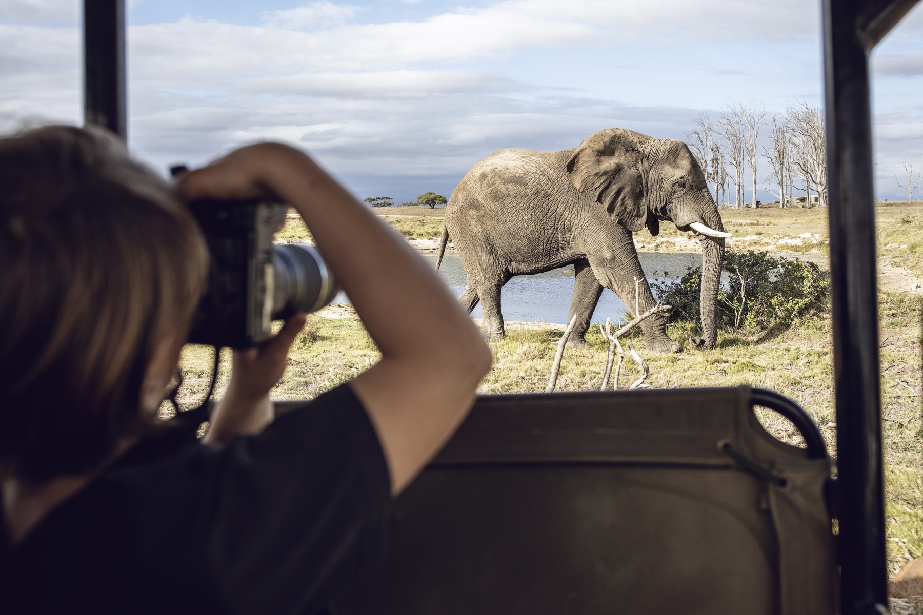 Photographic Safari