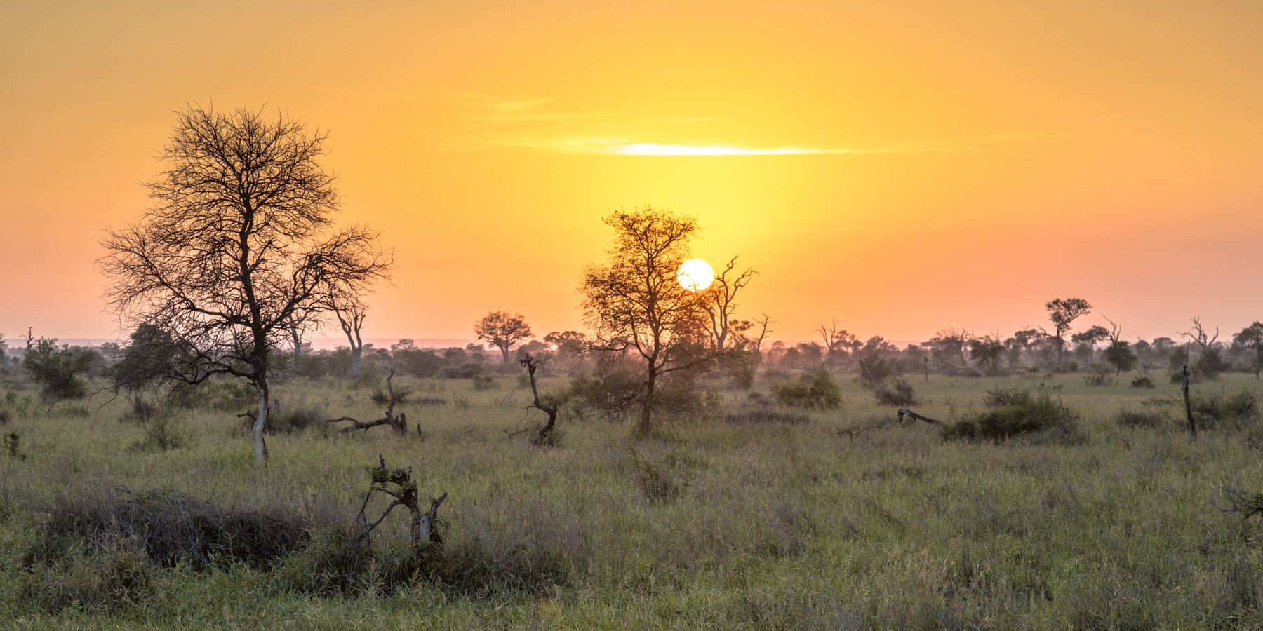Ngorongoro Crater Day Trip