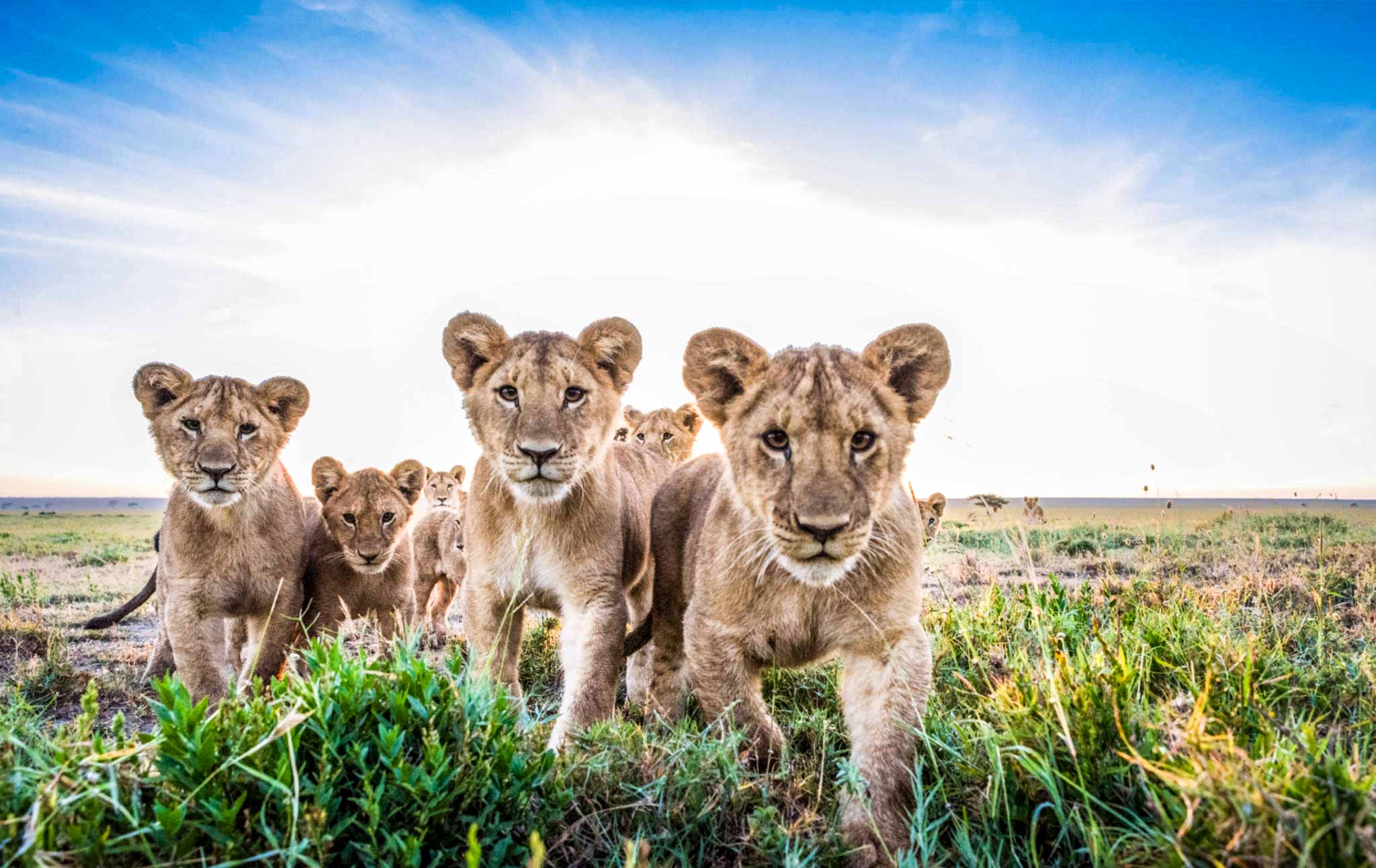 Serengeti National Park
