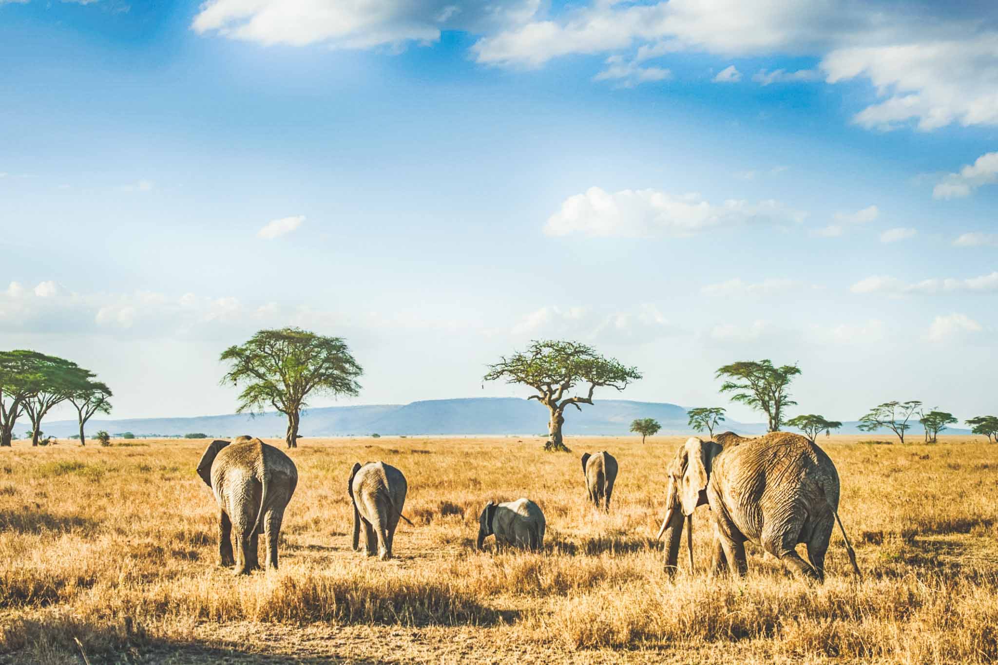 Tarangire National Park