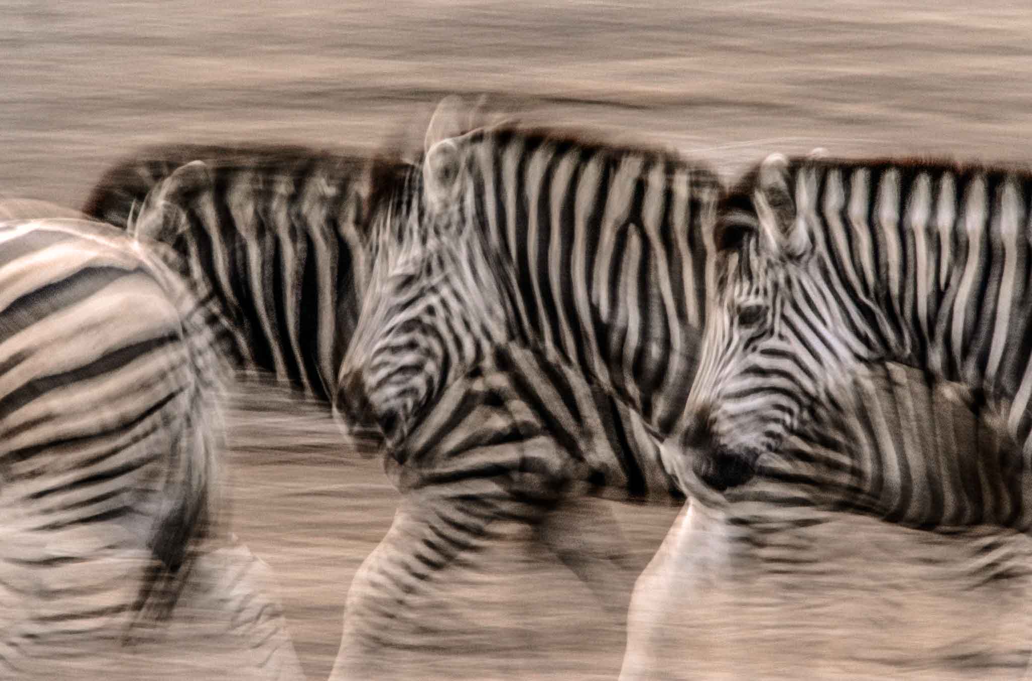 Selous Game Reserve