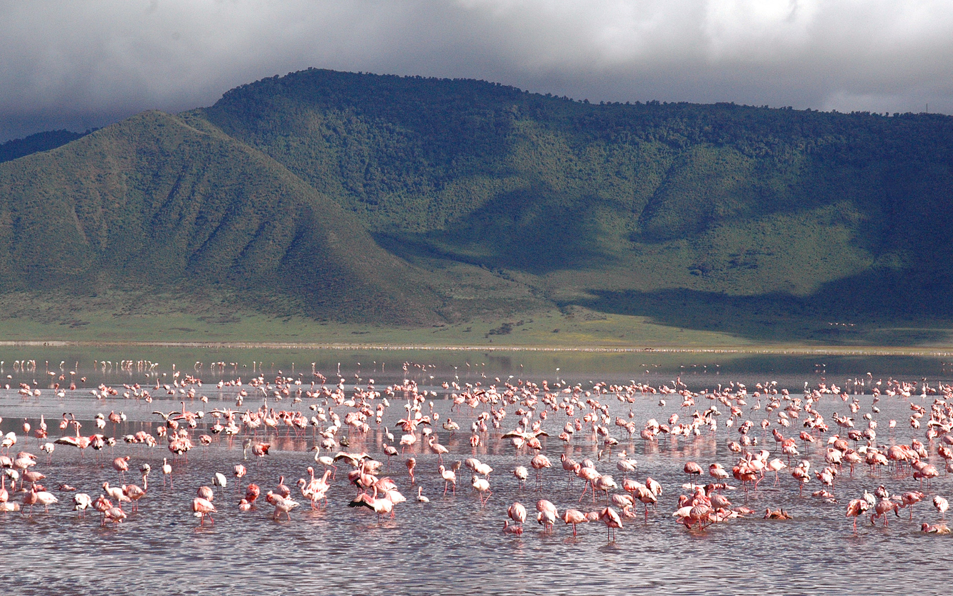 lake Eyasi