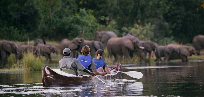 Kayaking on Lake Manyara Among Hippos and Flamingos