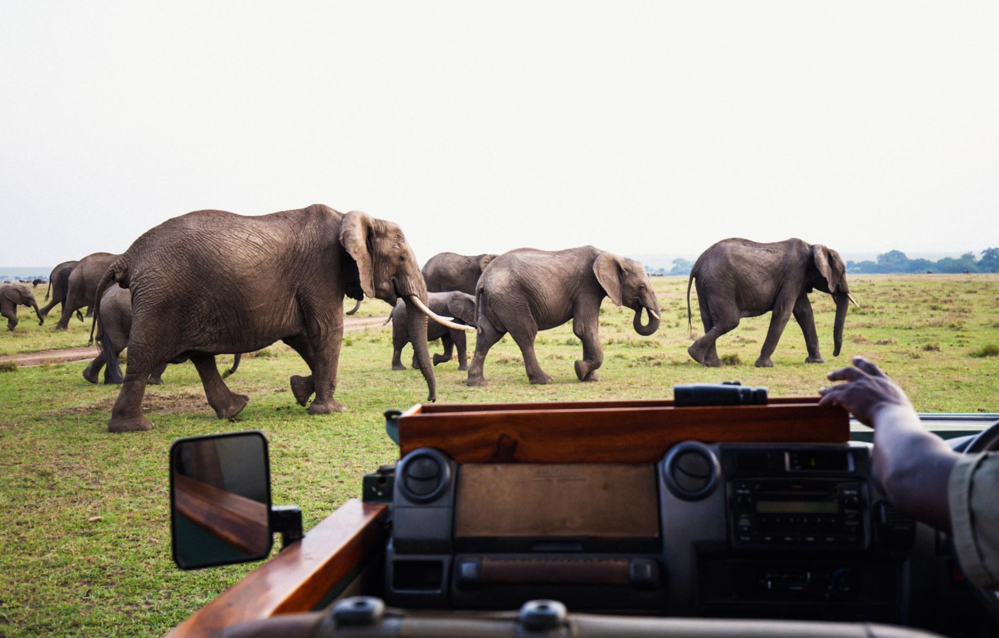 Full Day Crater Floor Game Drive in a 4WD Vehicle