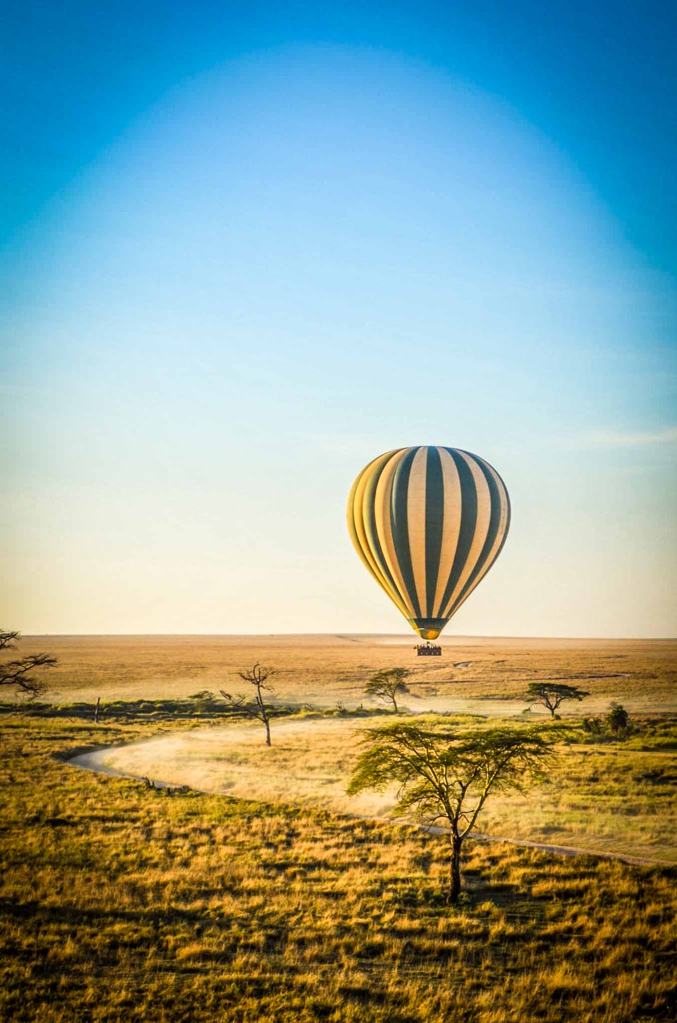 Luxury Fly Safari