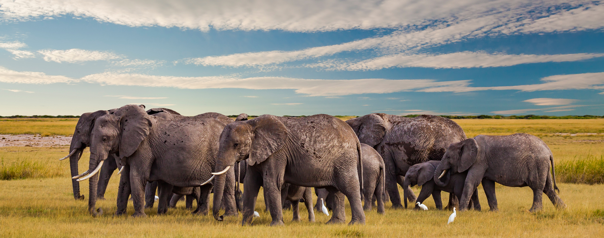 Beautiful Cape Town Landscape Canva Pro