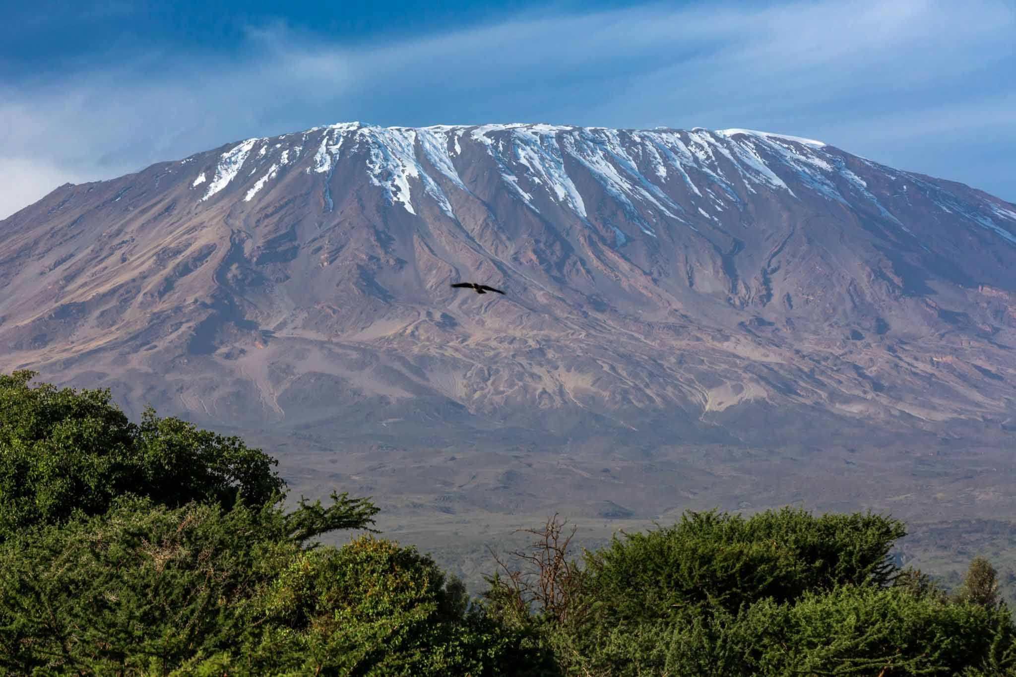 Lemosho Route trekking