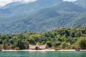 Snorkelling in Lake Tanganyika Mahale Endemic Cichlid Fish Species Biodiversity