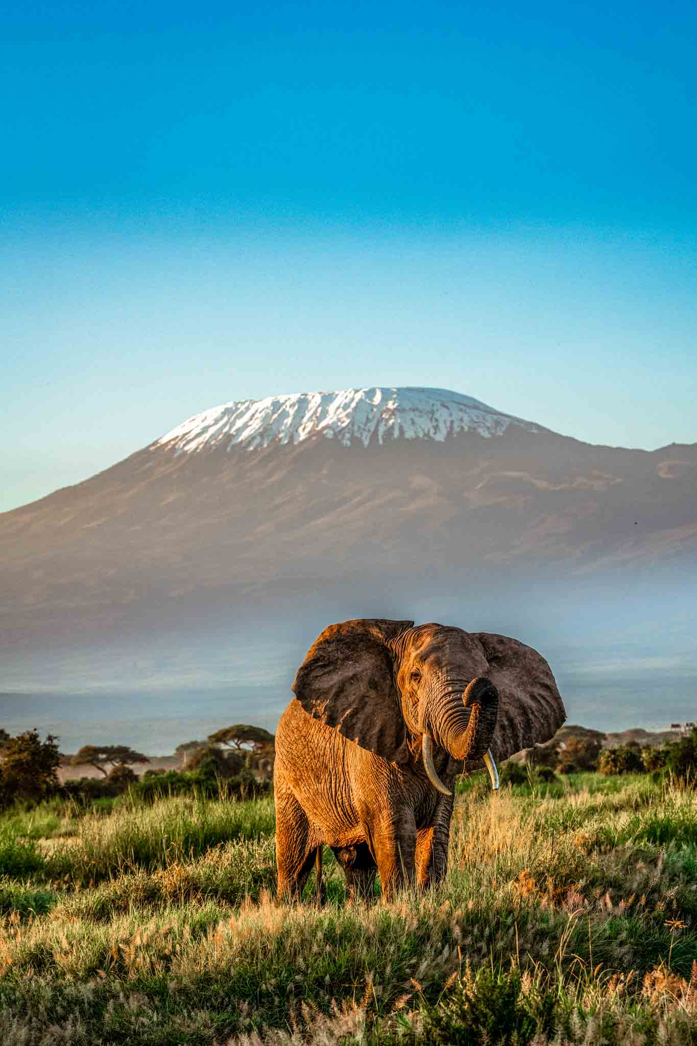 Machame route