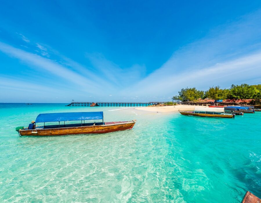 5-Day Great Migration Fly-in Safari from Zanzibar