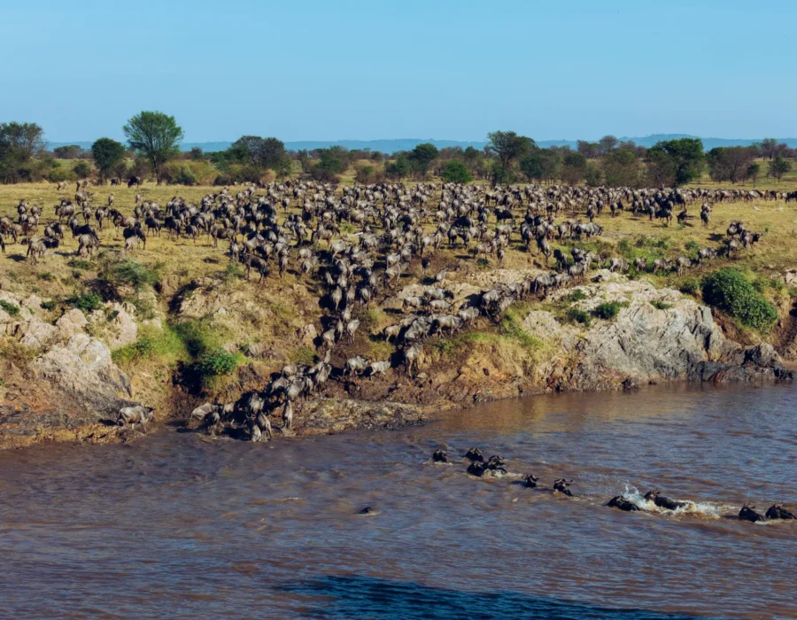 5-Day Great Migration Fly-in from Zanzibar