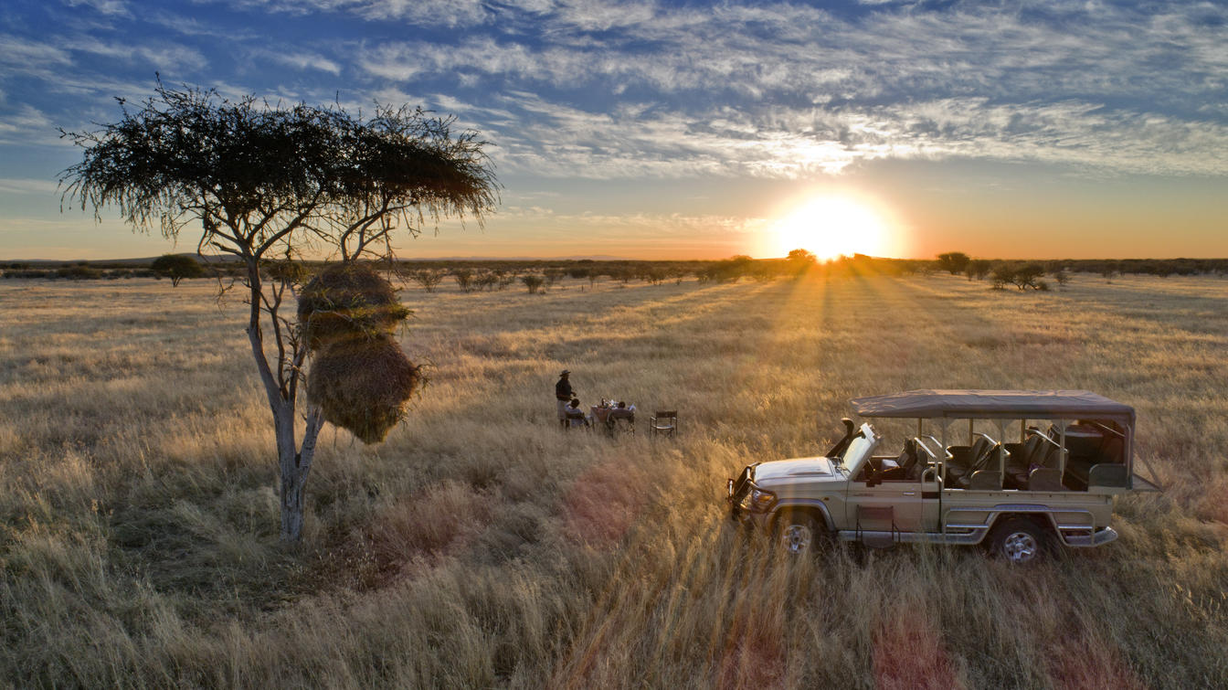 The Serengeti