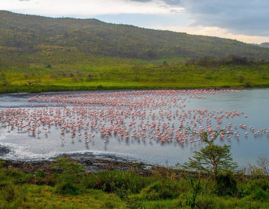 Arusha National Park