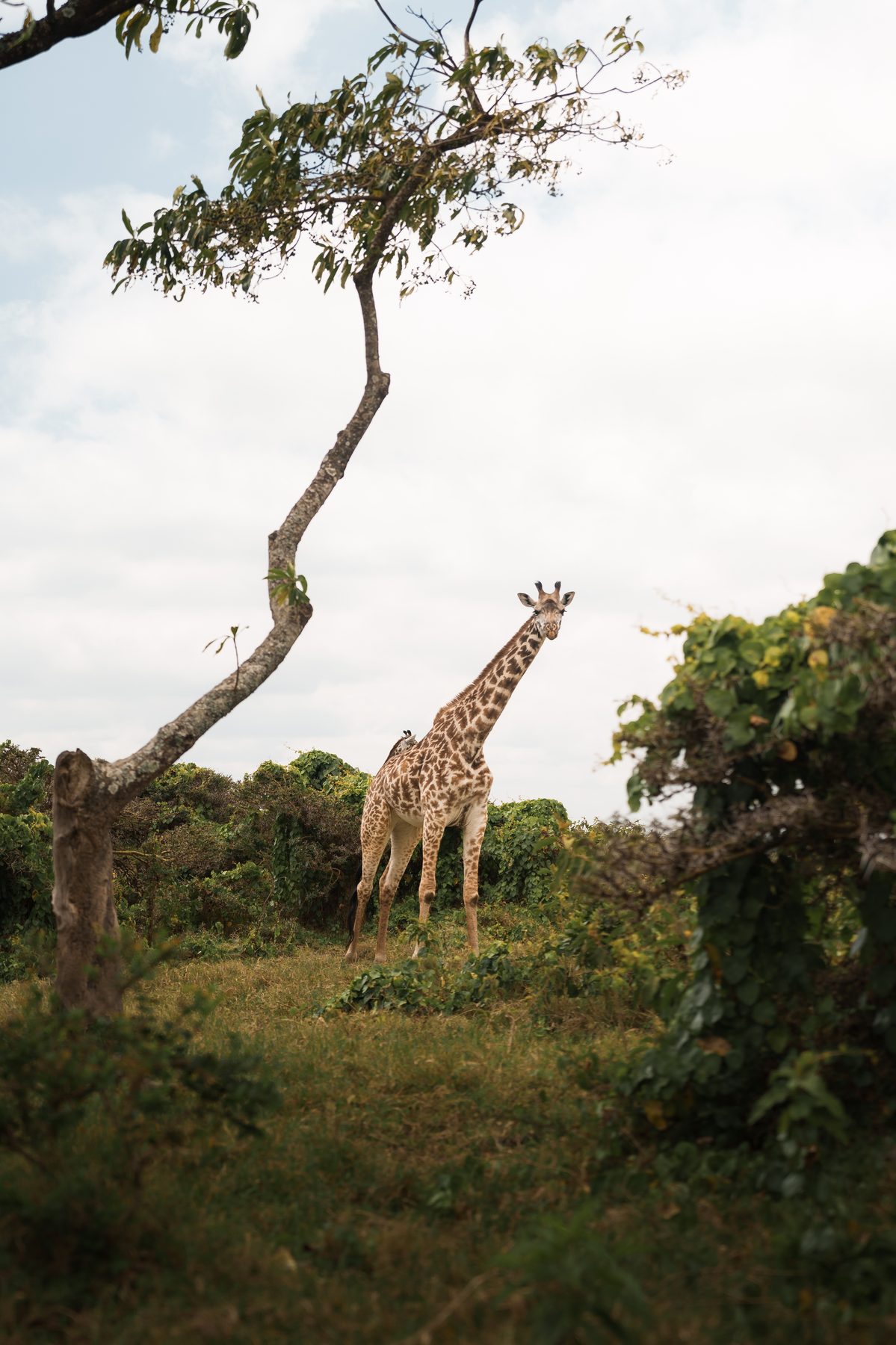 Arusha National Park