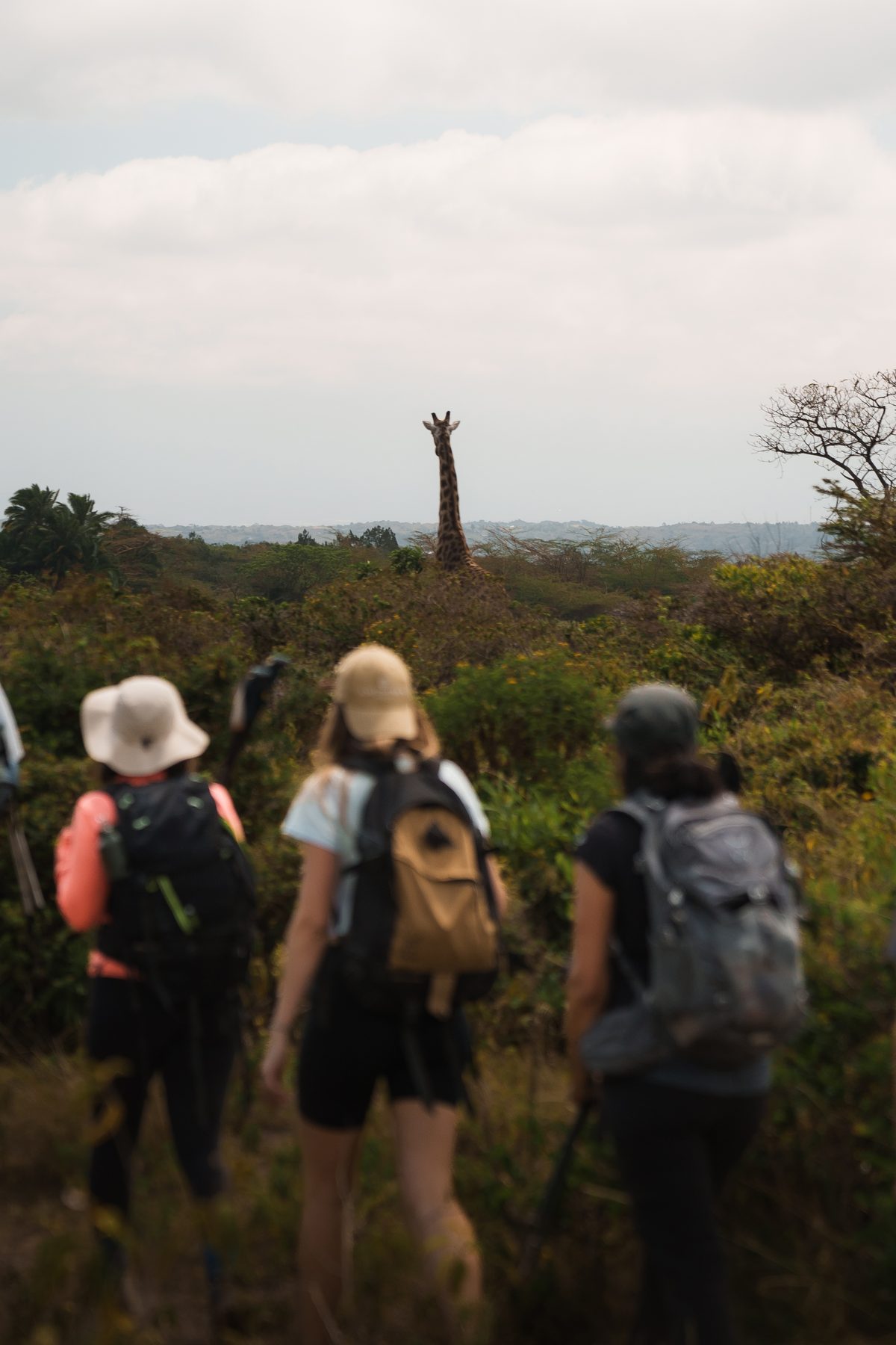 Arusha National Park