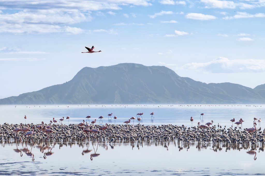 Lake Natron