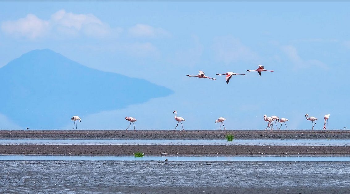 Lake Natron
