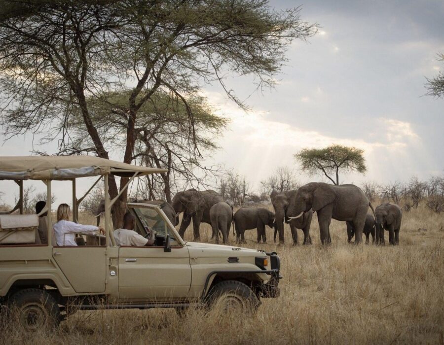 Ruaha National Park