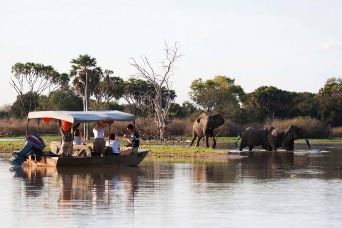 Selous / Nyerere