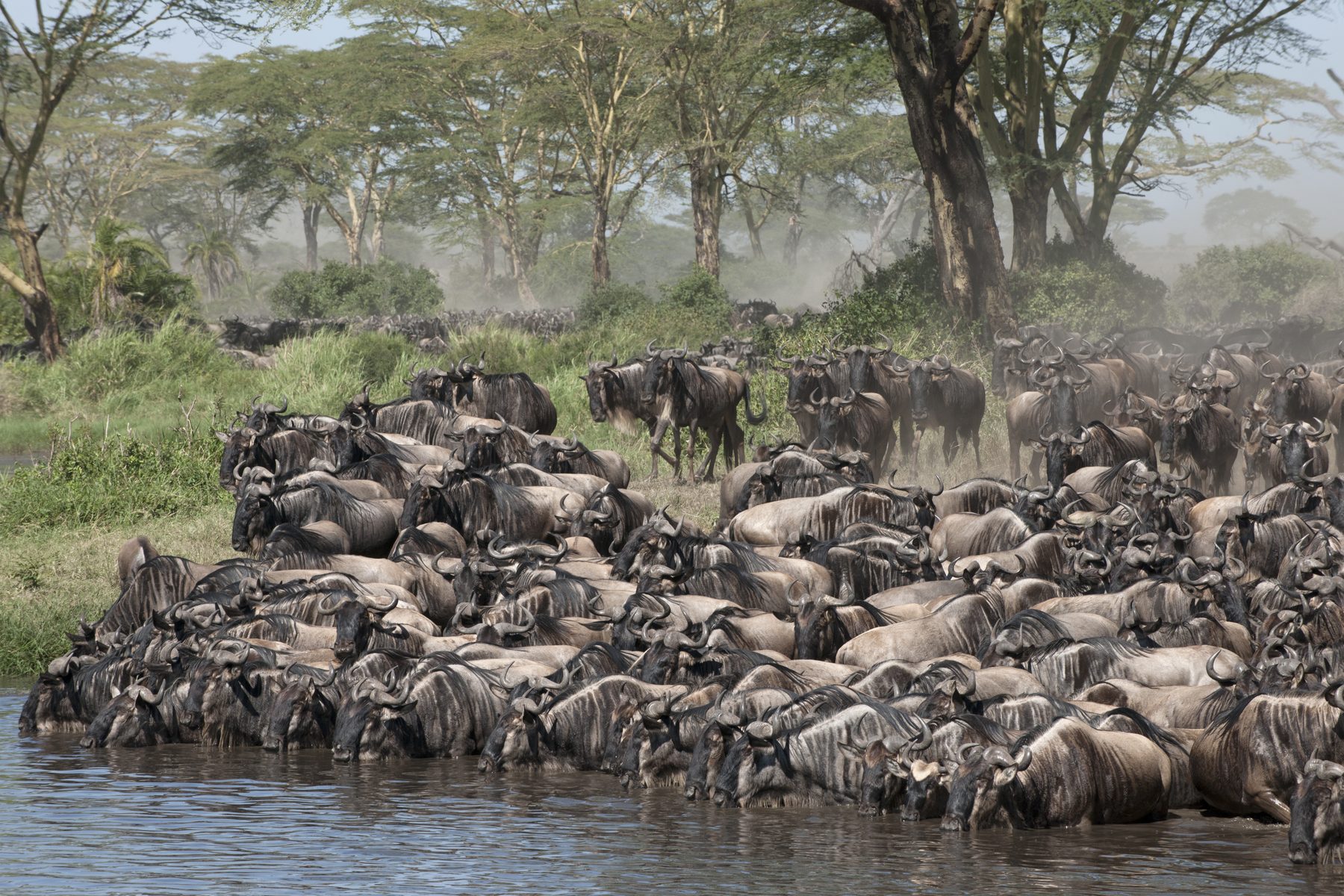 Serengeti National Park