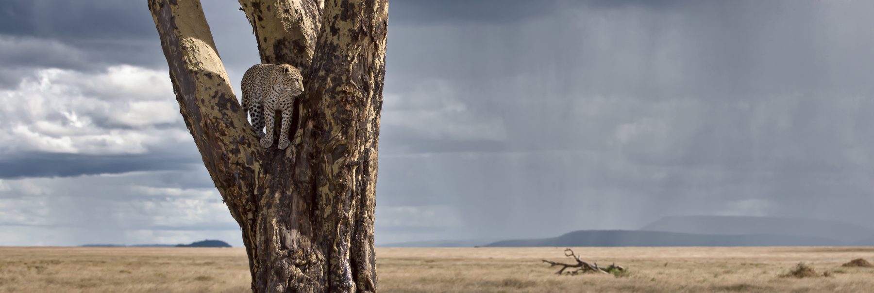 Serengeti National Park