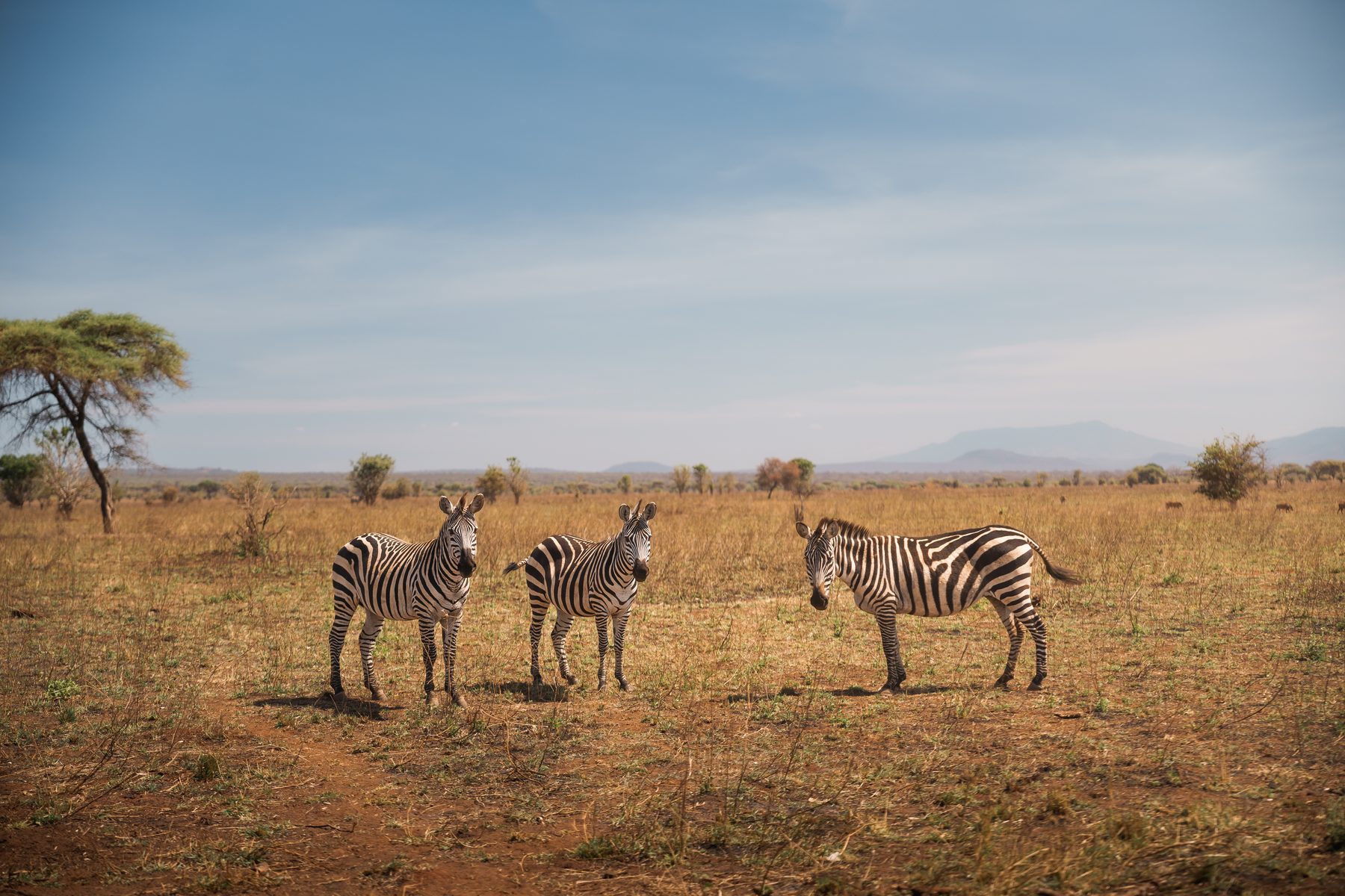 Tarangire National Park